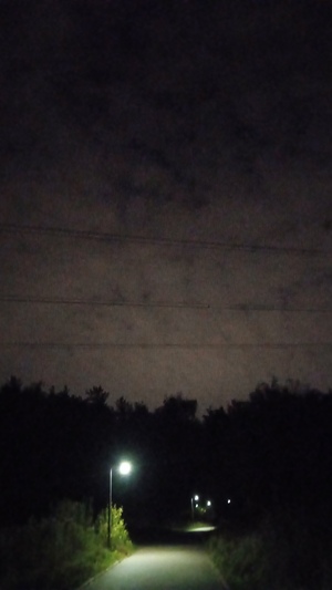 И Небо вновь подарит нам Звезду...