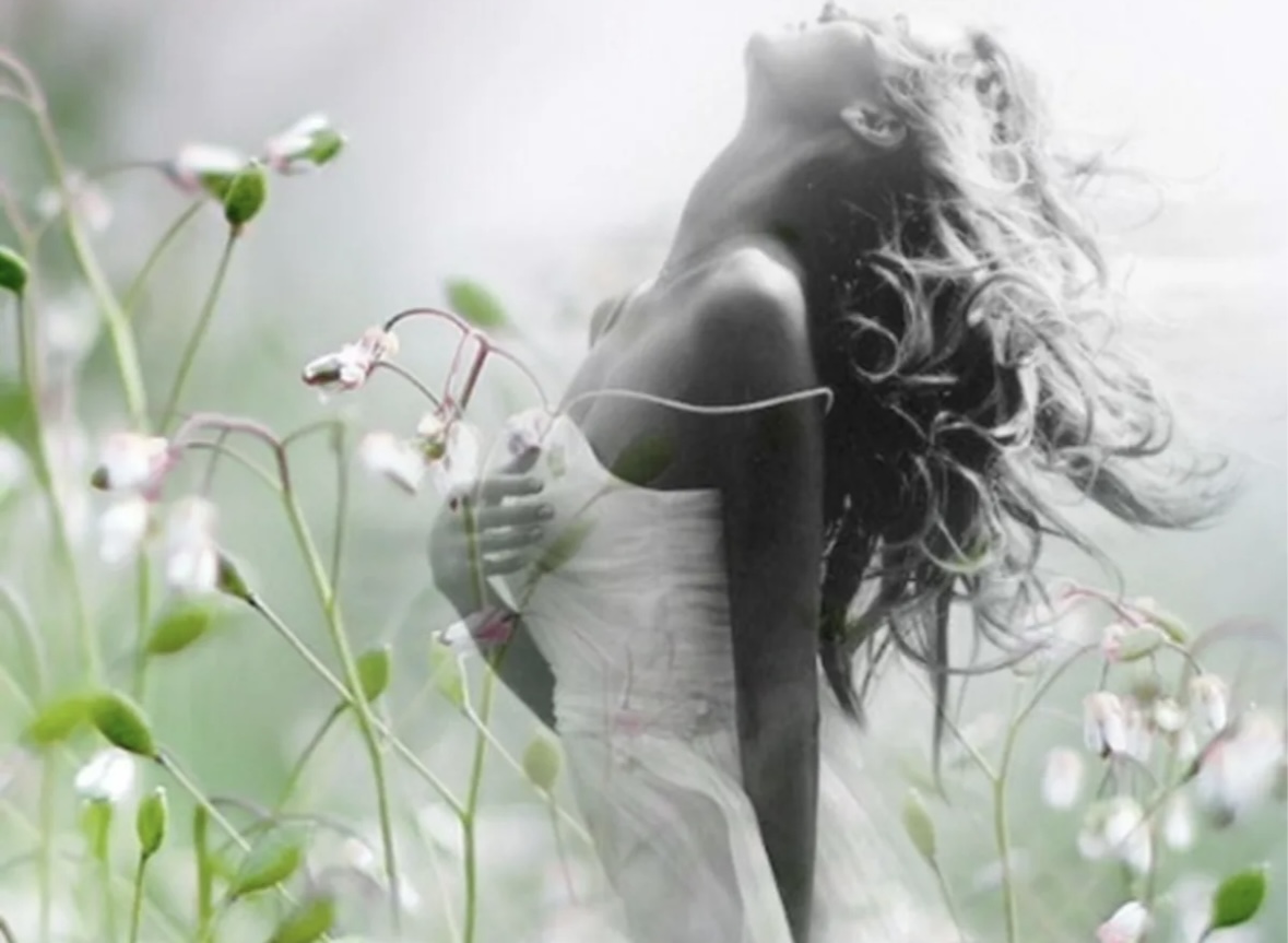 Гостья из прошлого