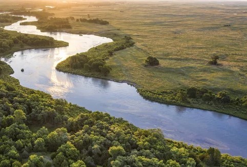 Кто сказал бы мне