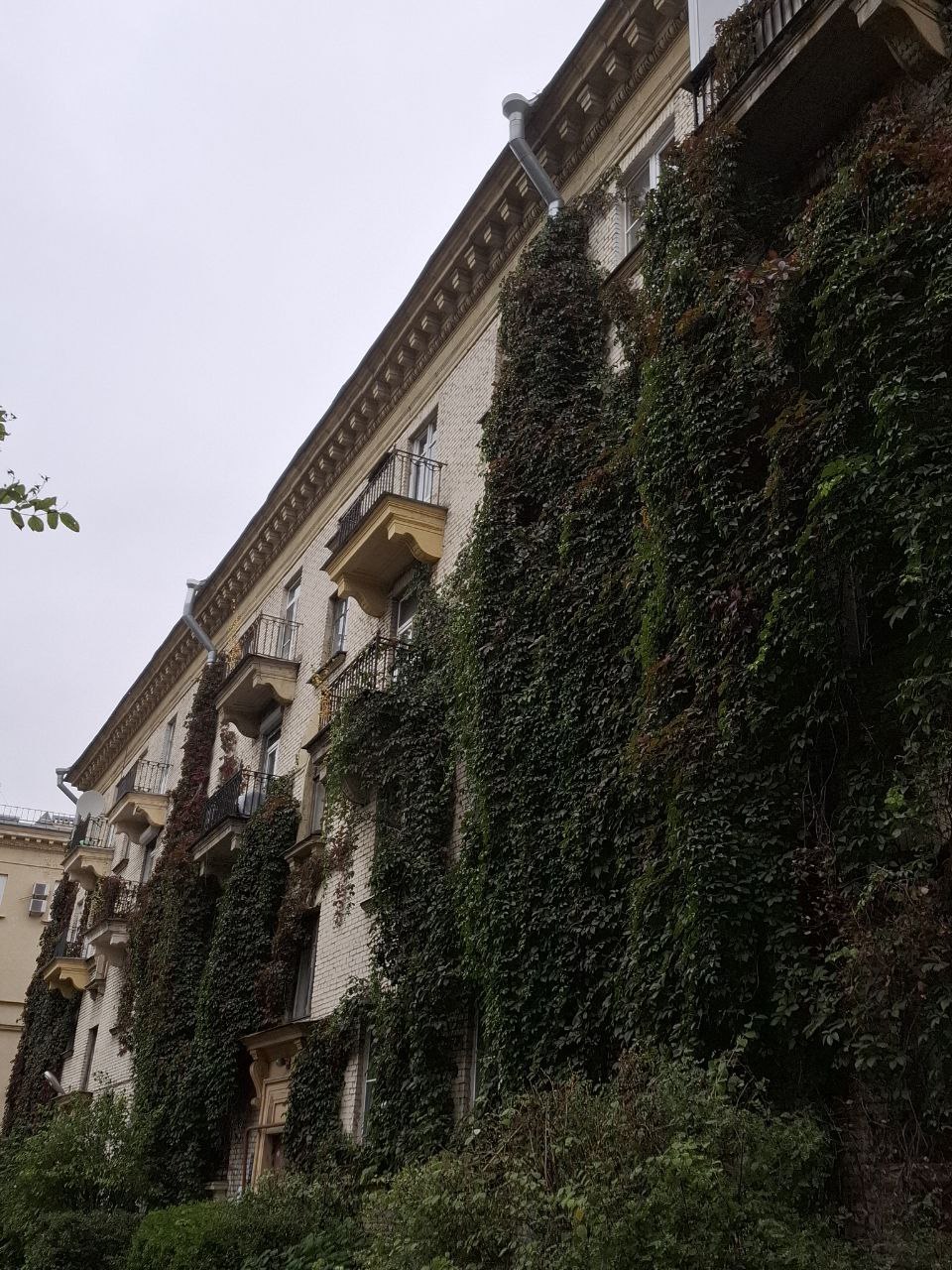 Пока, любимый Питер