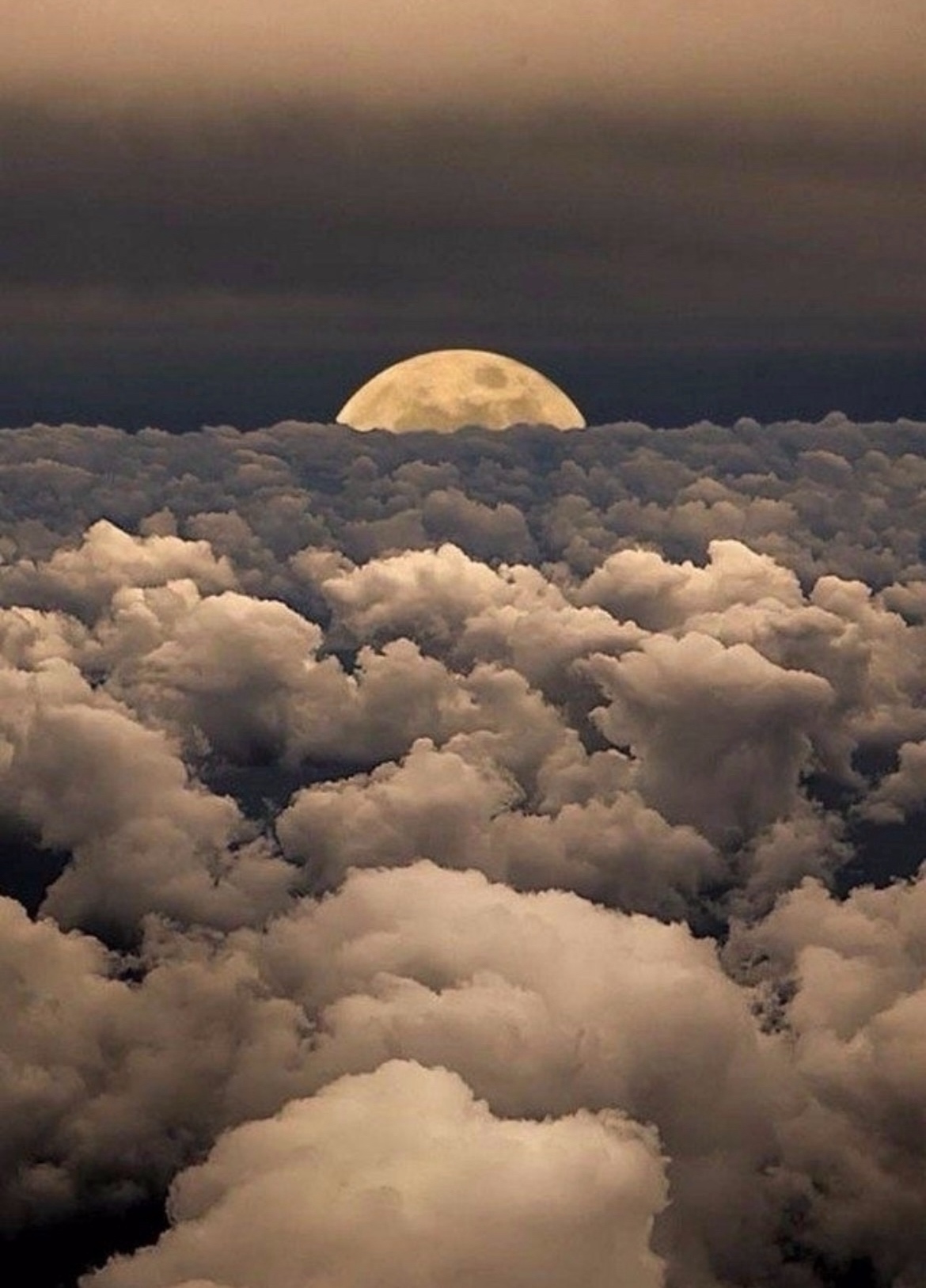 Эта странная ночь...