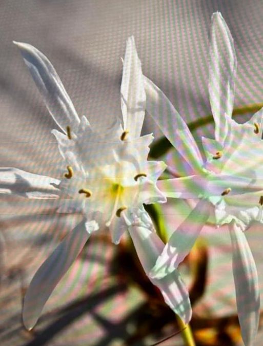 Маленькая пятница Глава5 Пролог