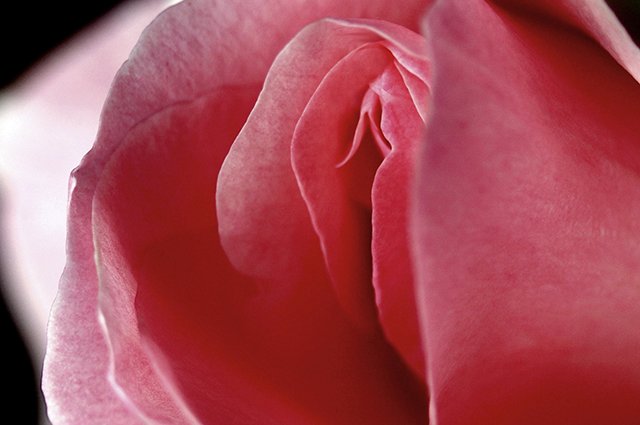 ода3 обладательнице ароматного полусладкого