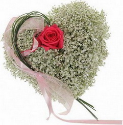 Проиграла удаче пари