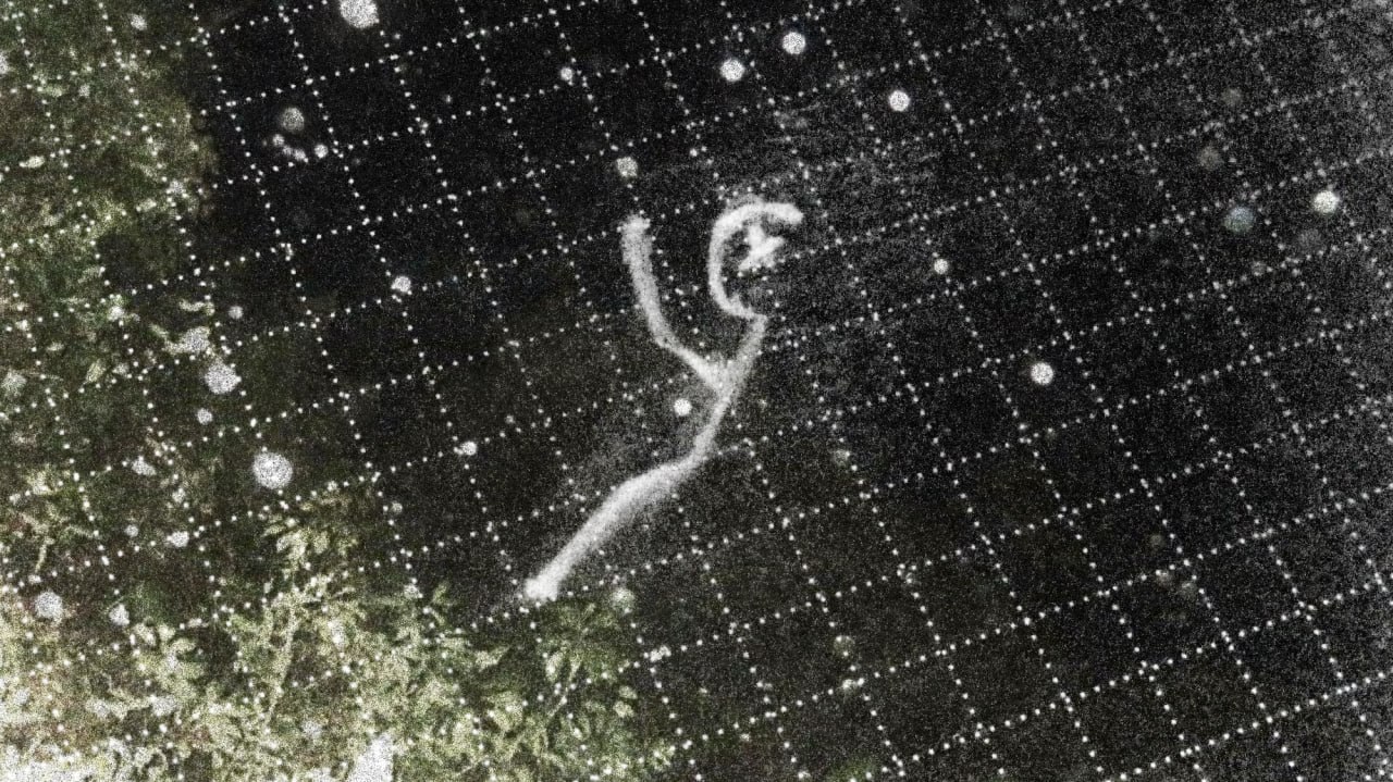 архивы исчезнувших полнятся...