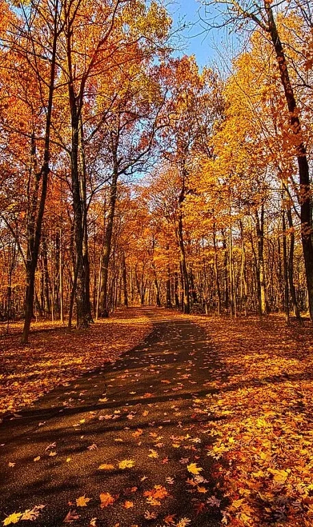 Осенняя романтика