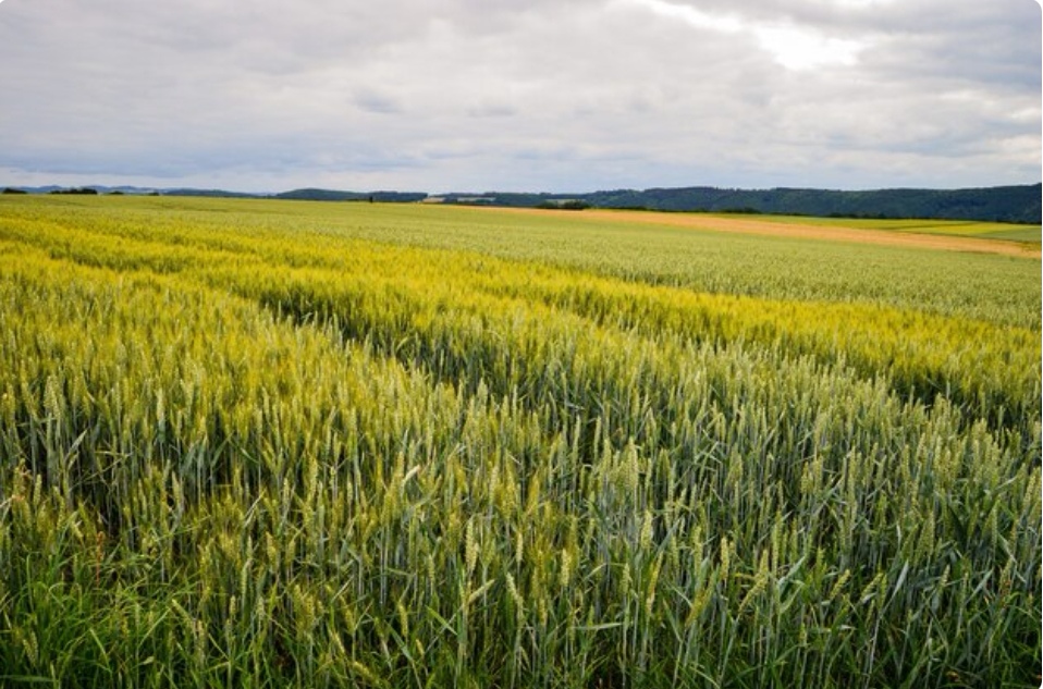 Просторы Нижегородской глубинки