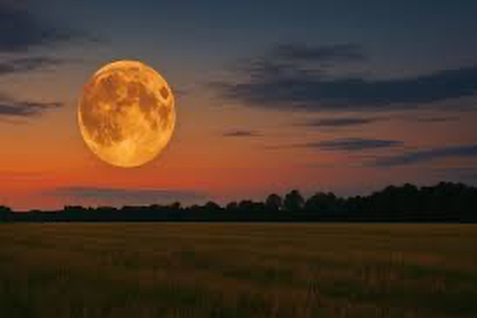 Ткань Мира!