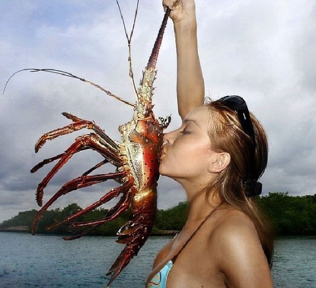 О гениальных раках и тумбурных бабочках. филосфска