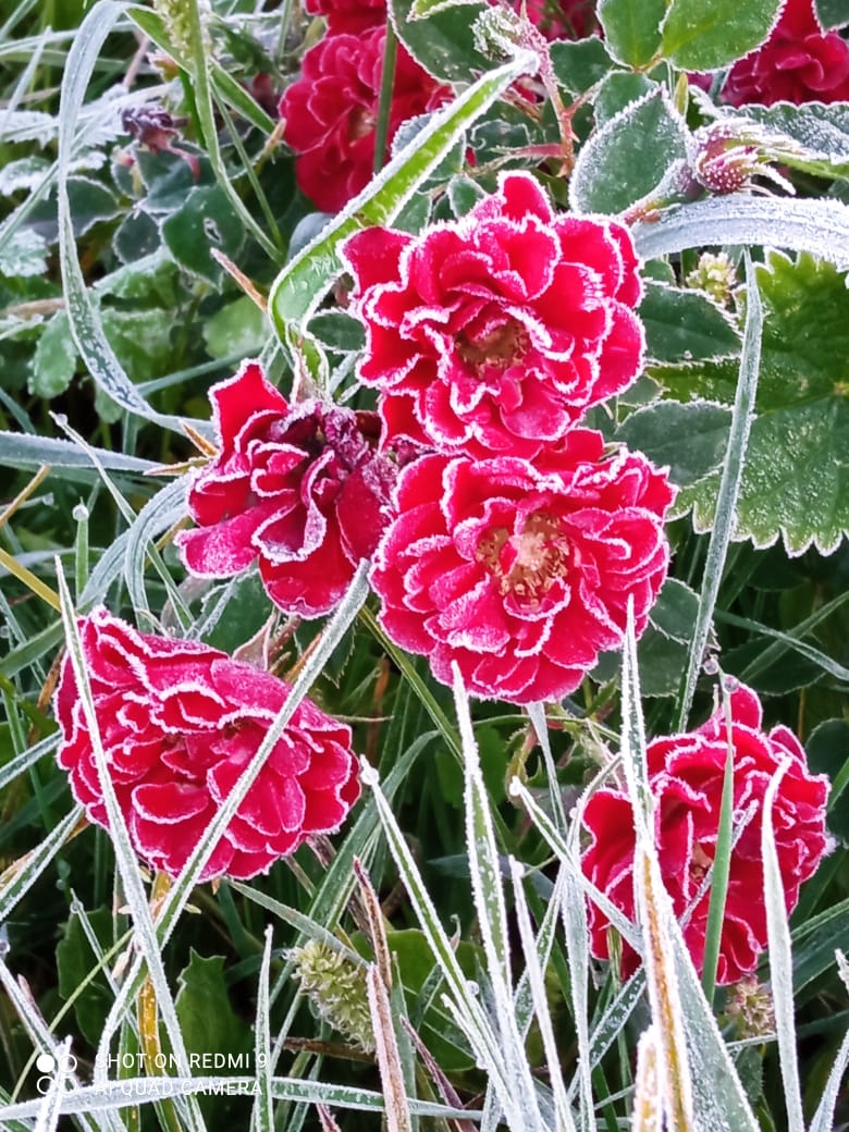 Это осени пора