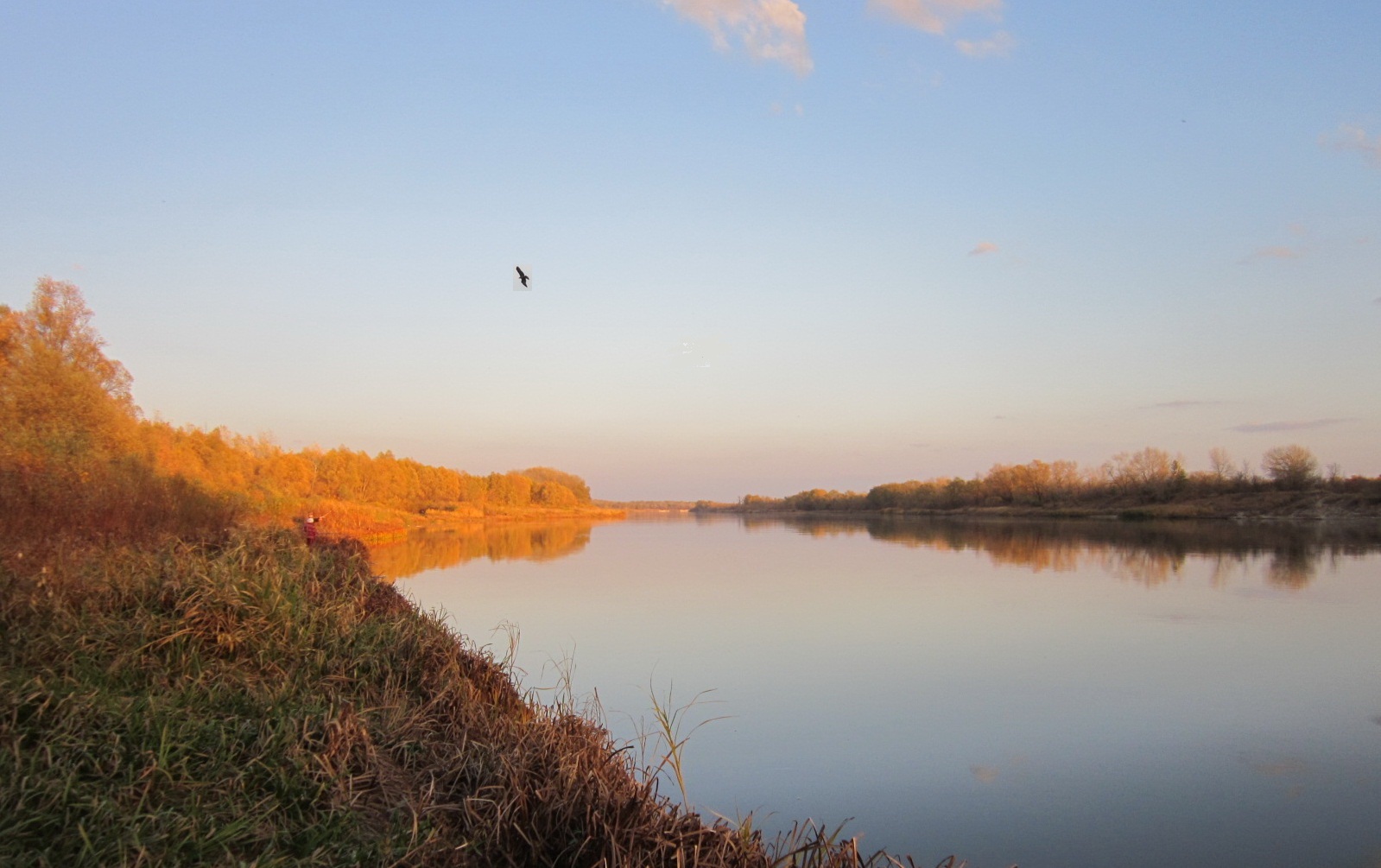 Октябрь сегодня теплом играл