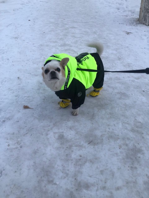 Пока ты жил, мир был прекрасен
