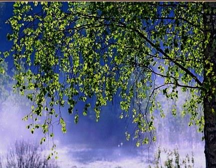 Любить и ждать