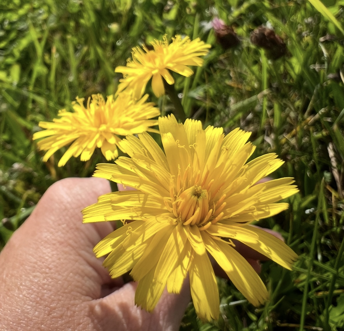 А можно просто помолчать