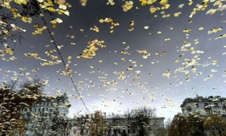 Власть осени