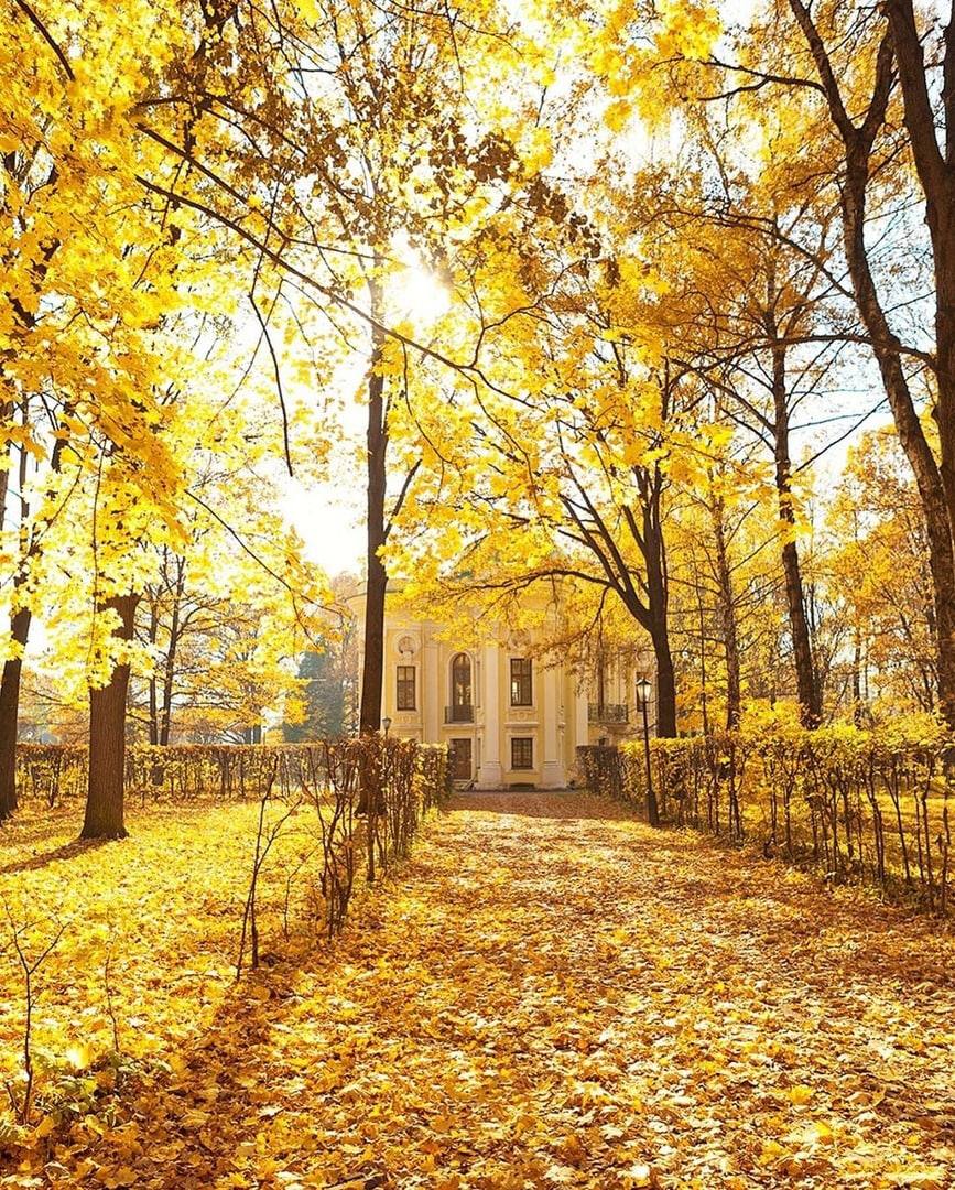 Листопад много лет спустя