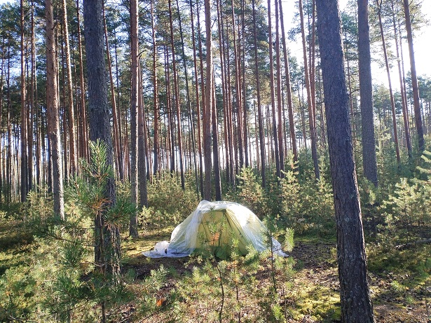 2025г. Приходят лишь уведомления. 1315