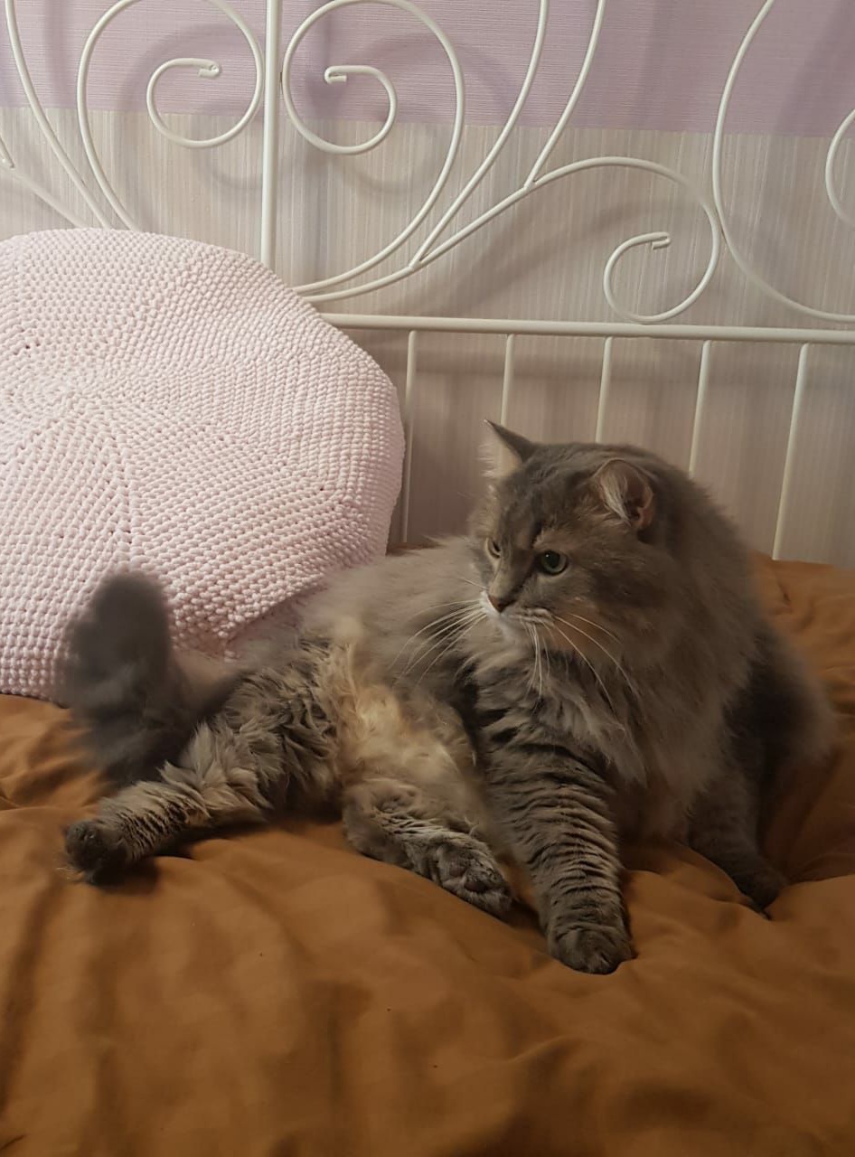 В память о Джерри...