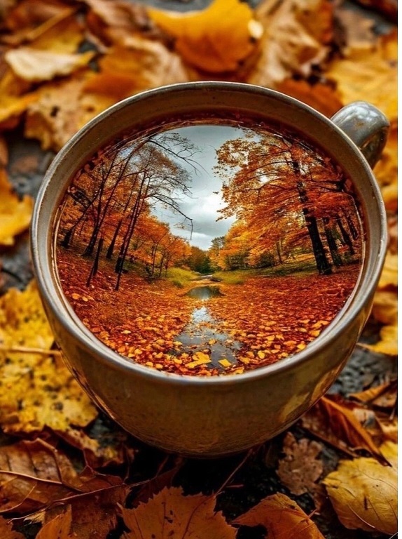 Осенний мираж