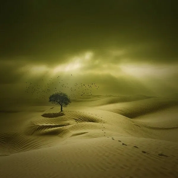 В своём сне меня снова ты встретишь