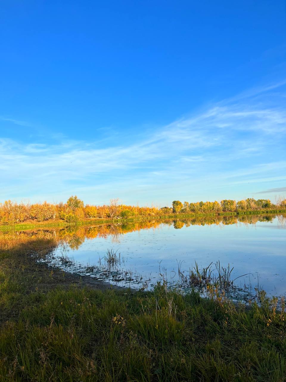 Я теперь избегаю боли
