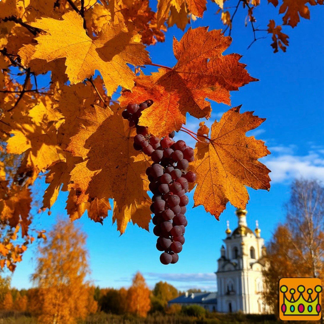 В городе О