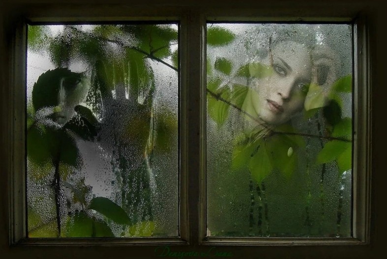 Крупицы счастья