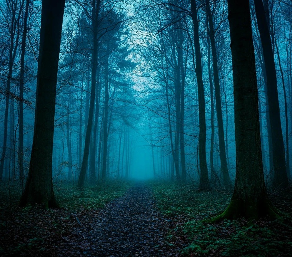 Туманные тайны