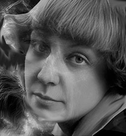 Рябина, брошь и земляника