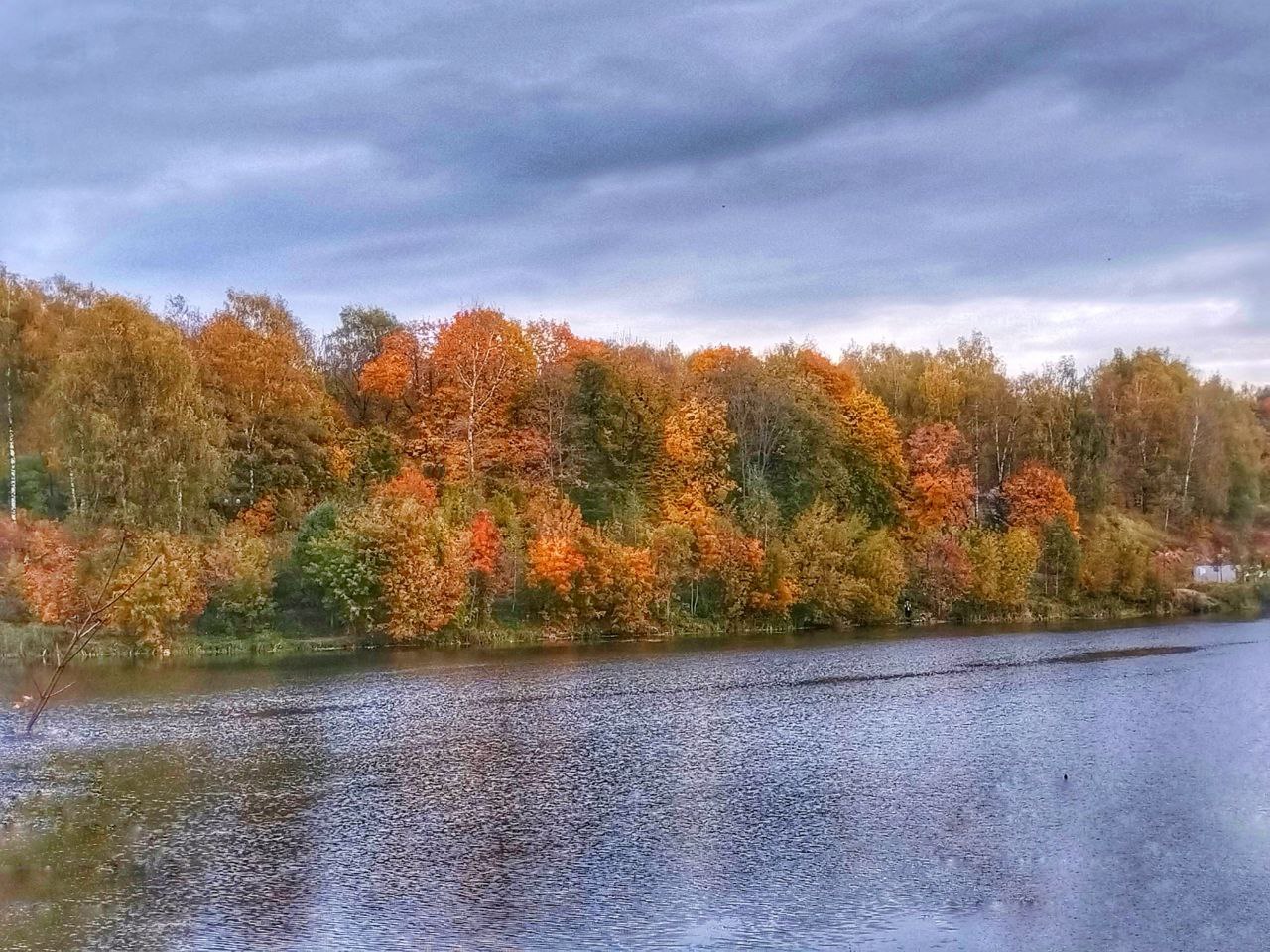 Пьёт Осень красное вино