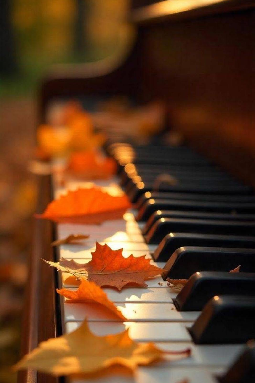 Осень в парке Г. Долматов и Я