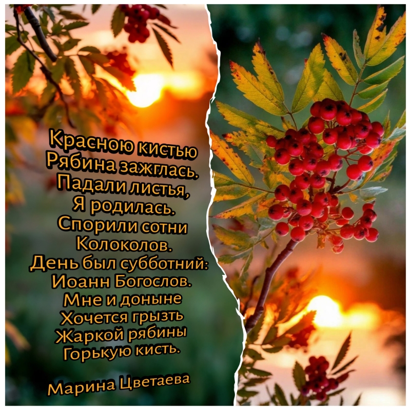 гроздья алые рябины