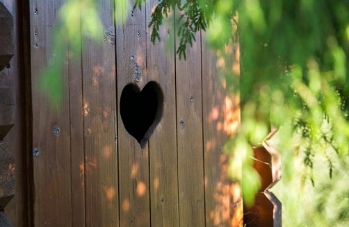 Среди прелестей природы