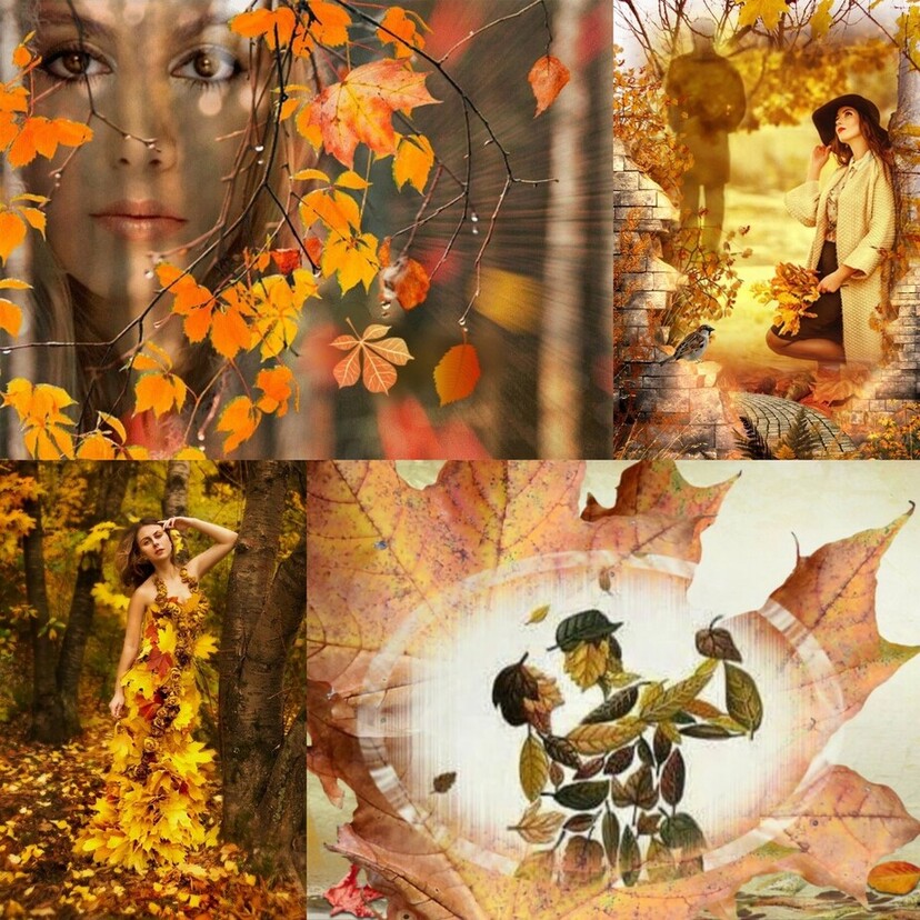 У Осени взгляд...