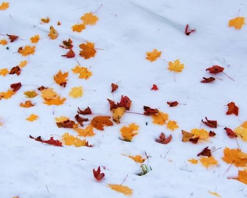 Октябрь 2025г