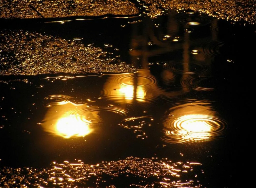 Свет счастливой звезды