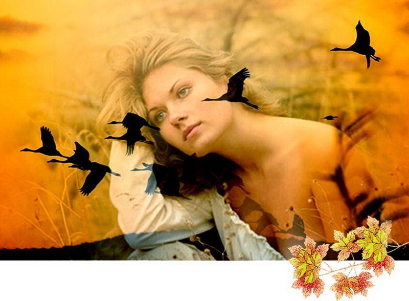 Мне бы крылья да журавлиные