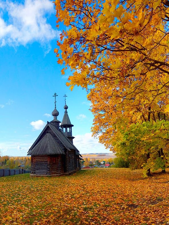 Не отыскать надёжней мне щита