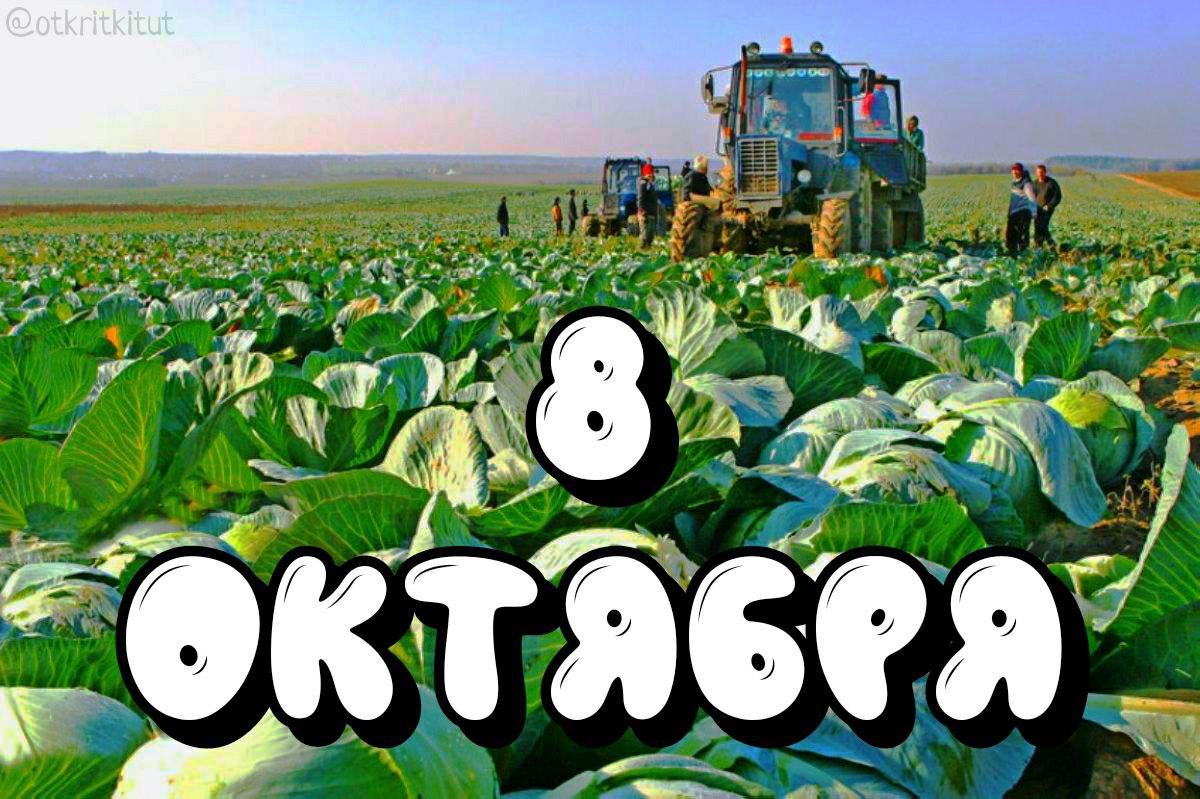 не знает, каким