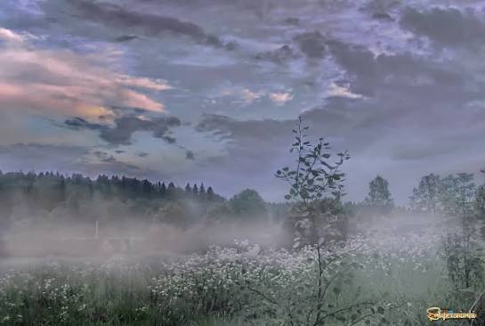 Бродила мысль с конца в конец