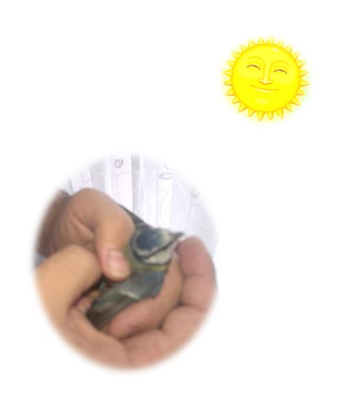 В руках держу я трепетно творение...