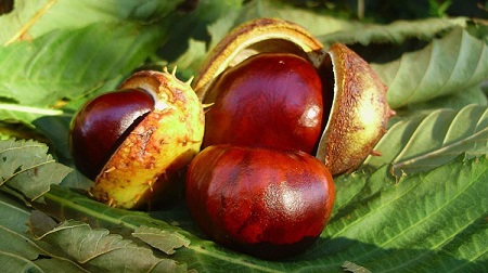 Только вчера...