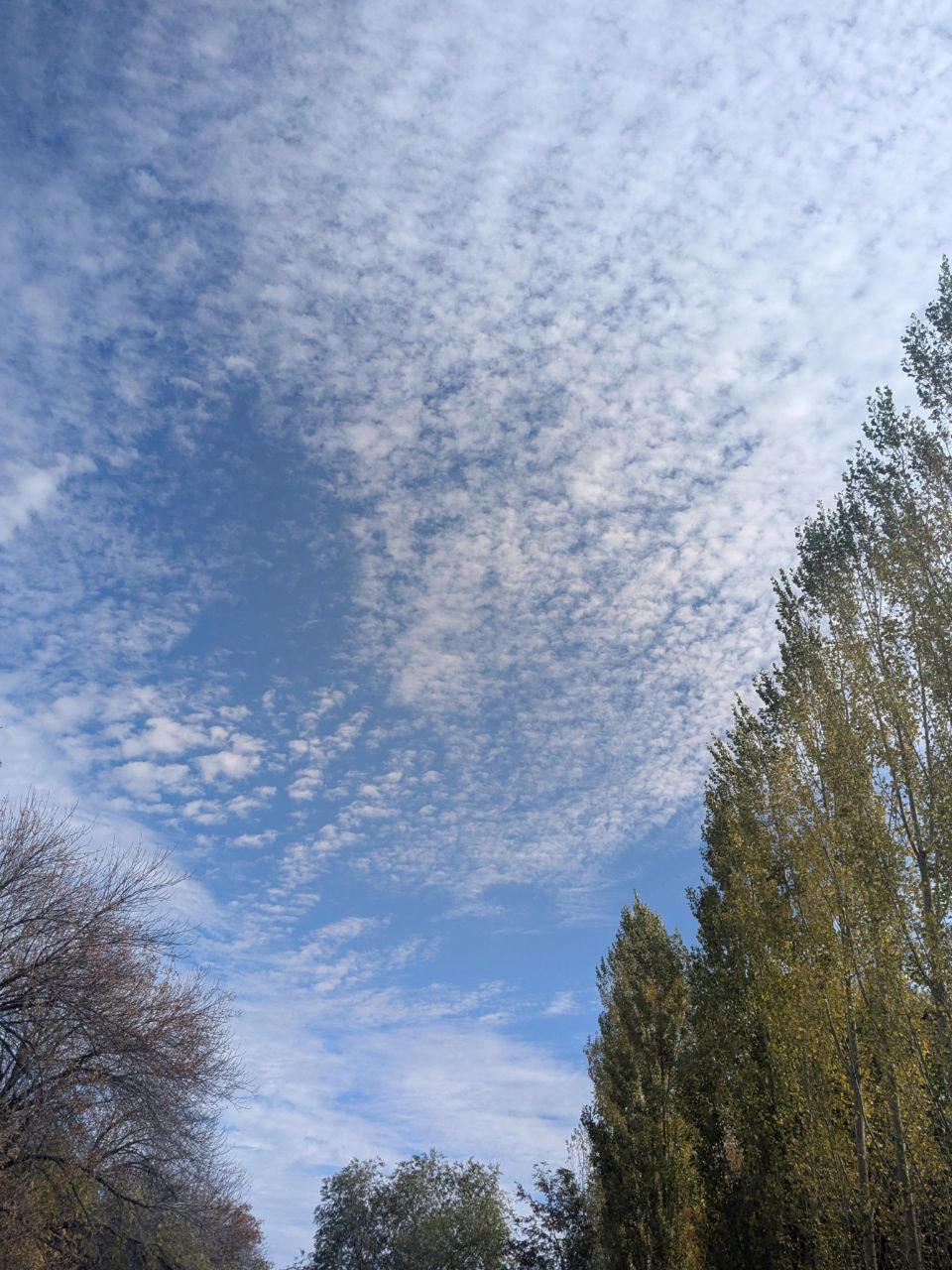 Как Ты красив