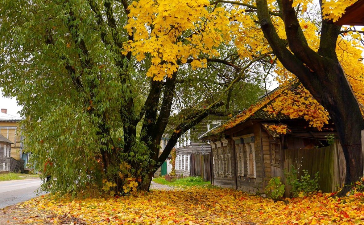 Осень снова в силе...