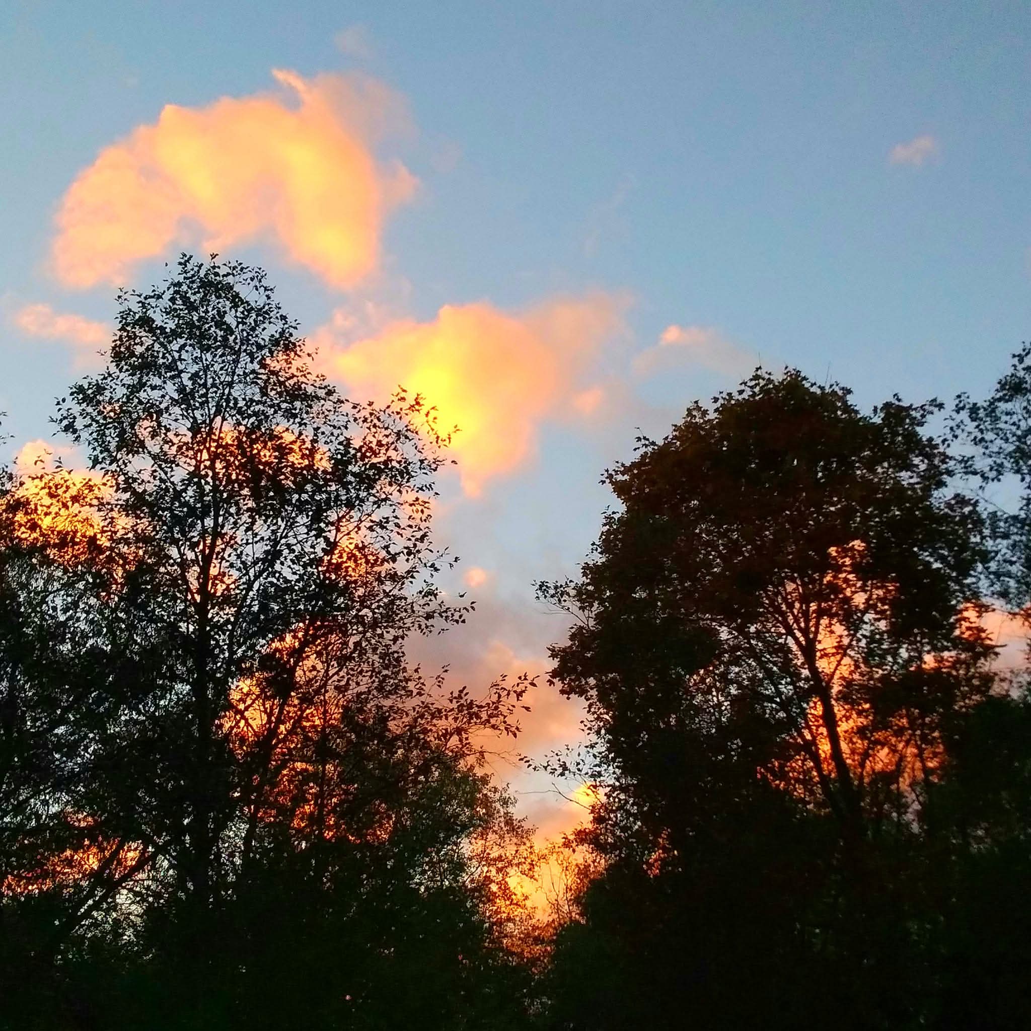 В пепельном дыму..