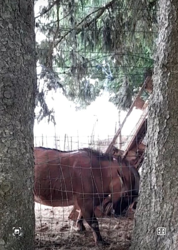Загадки для детей