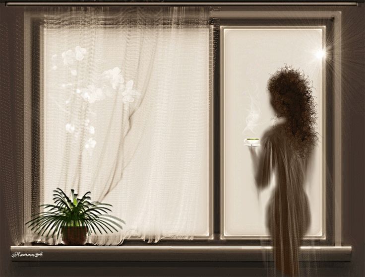 Воробей сидит на ветке