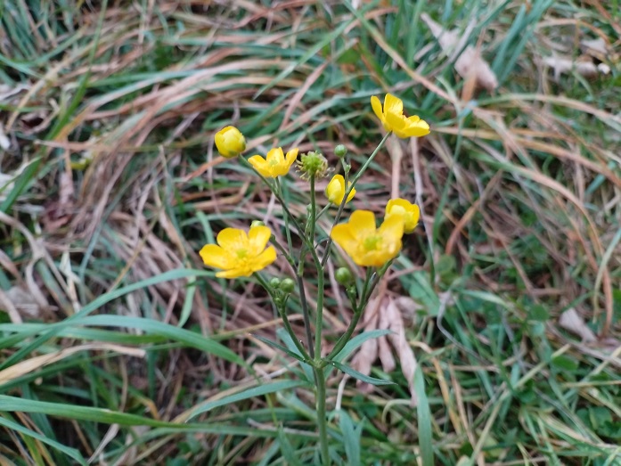 2025г. Хочу к тебе прийти с ночёвкой. 1317