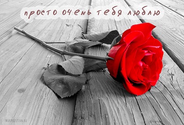 Зачем же плачу я...