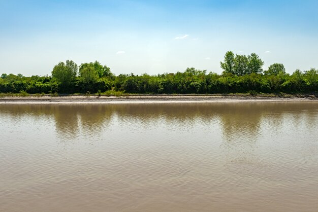 А ведь так...